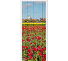 Браво-008, цвет: Т - 2